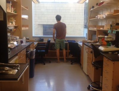 Lab Renovations Complete!