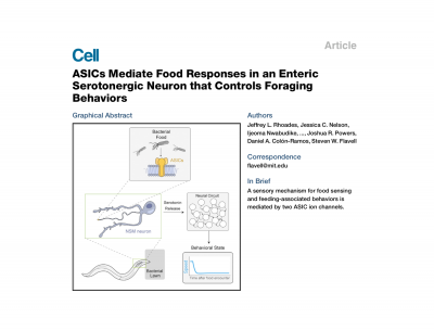 New Paper Out Today!