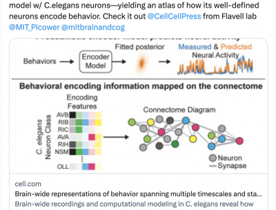 How do neurons across the brain control behavior?