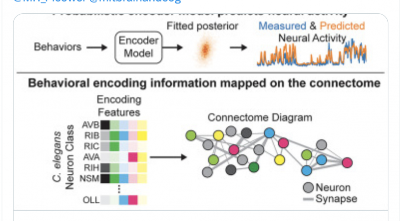 How do neurons across the brain control behavior?